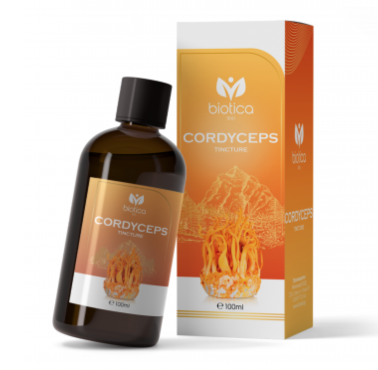 TINKTÚRA Z HUBY CORDYCEPS – PRÍRODNÉ A PRÍRODNÉ ANTIBIOTIKUM